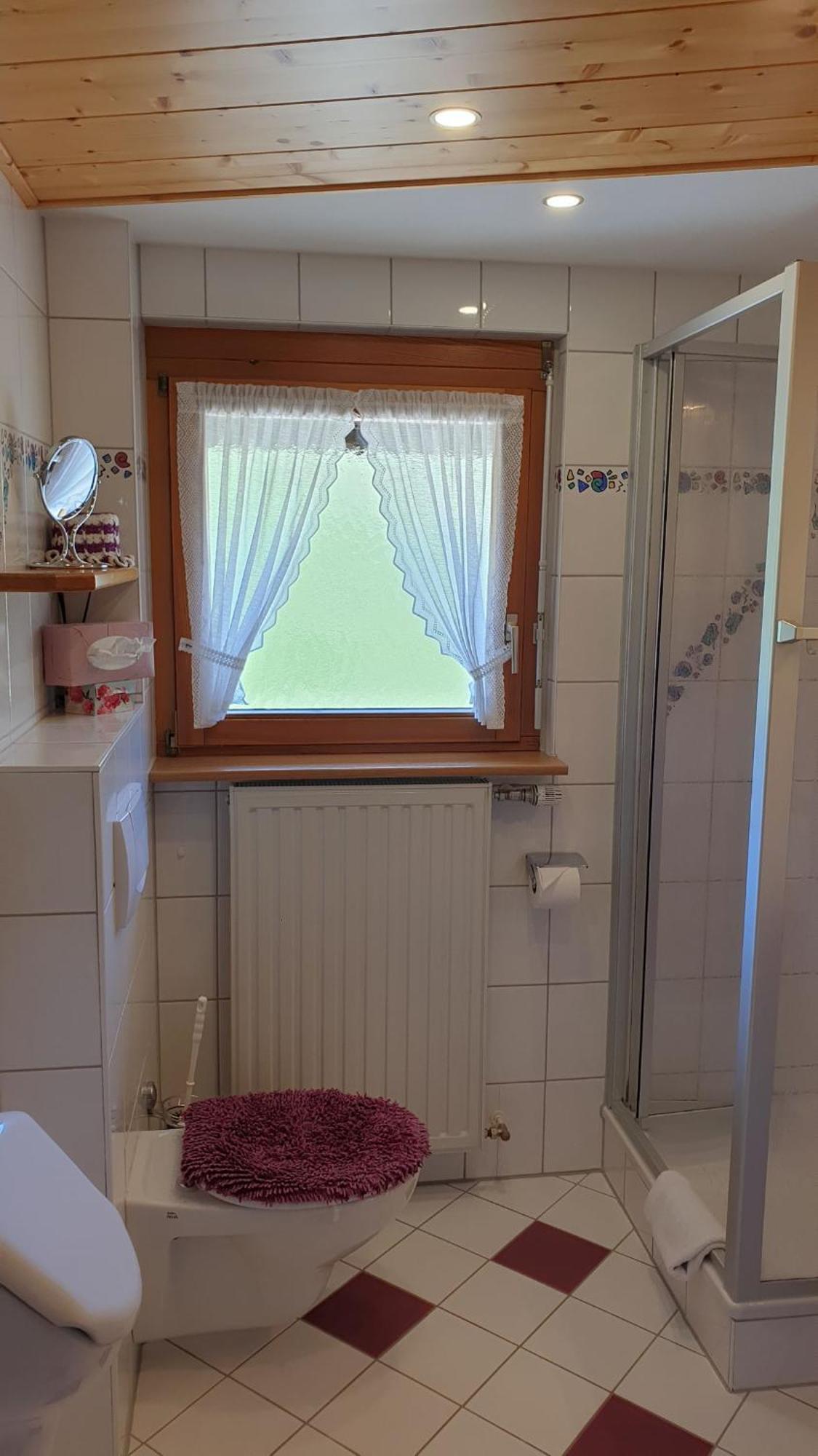 Haus Am Kreuzbuehl Lejlighed Dachsberg im Schwarzwald Eksteriør billede
