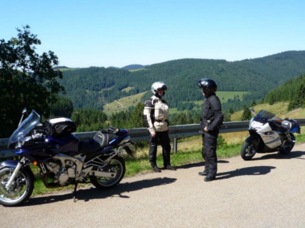 Haus Am Kreuzbuehl Lejlighed Dachsberg im Schwarzwald Eksteriør billede